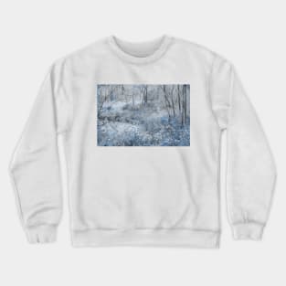 Painting of a Faerie Forest with Blue Flowers Crewneck Sweatshirt